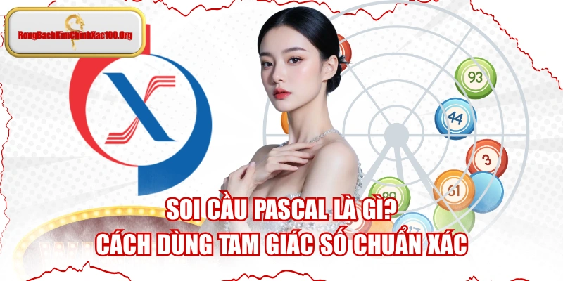 Soi Cầu Pascal Là Gì? Cách Dùng Tam Giác Số Chuẩn Xác